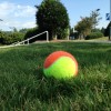 Cary Tennis Park ball in grass